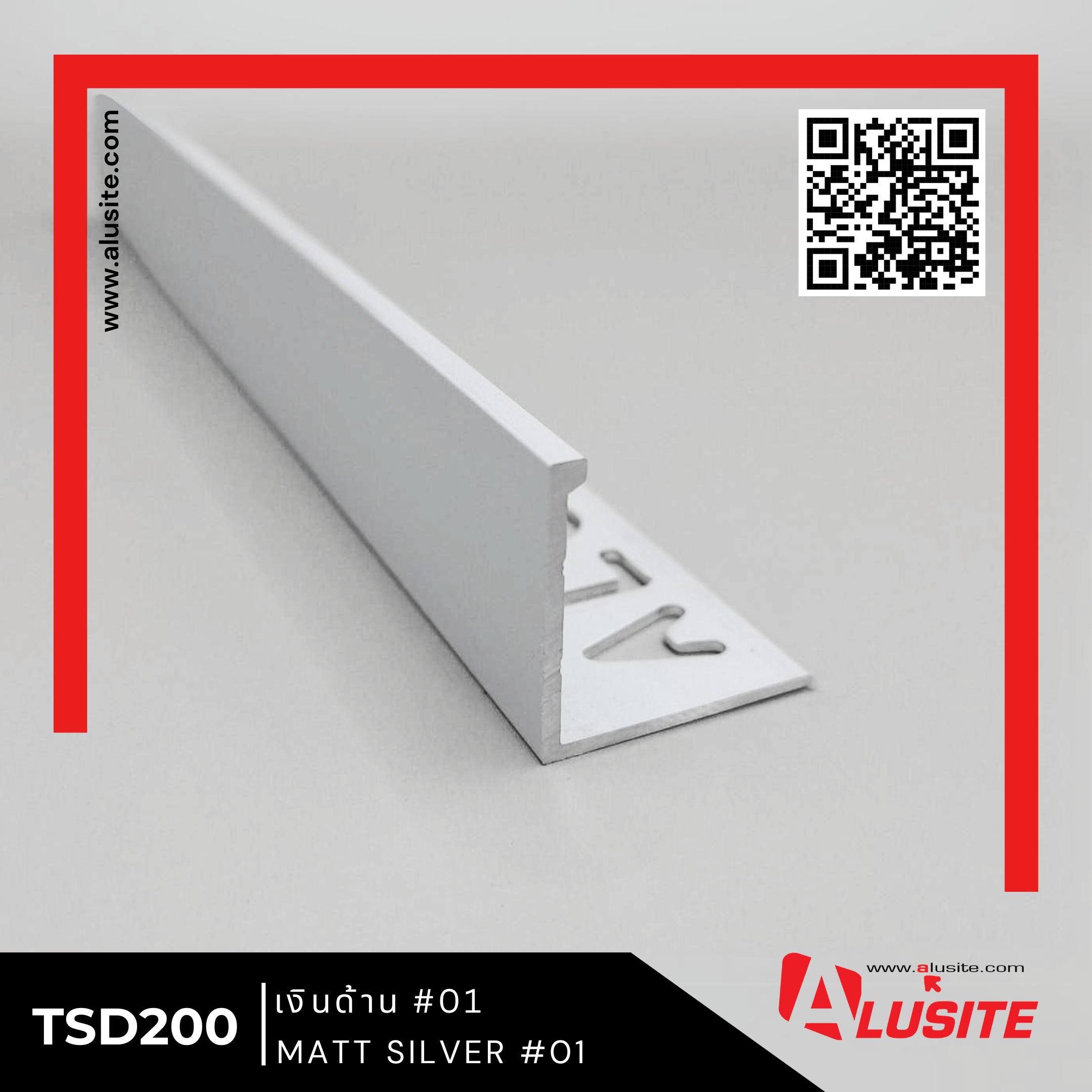 01 TSD200 DISPLAY MATT SILVER 01