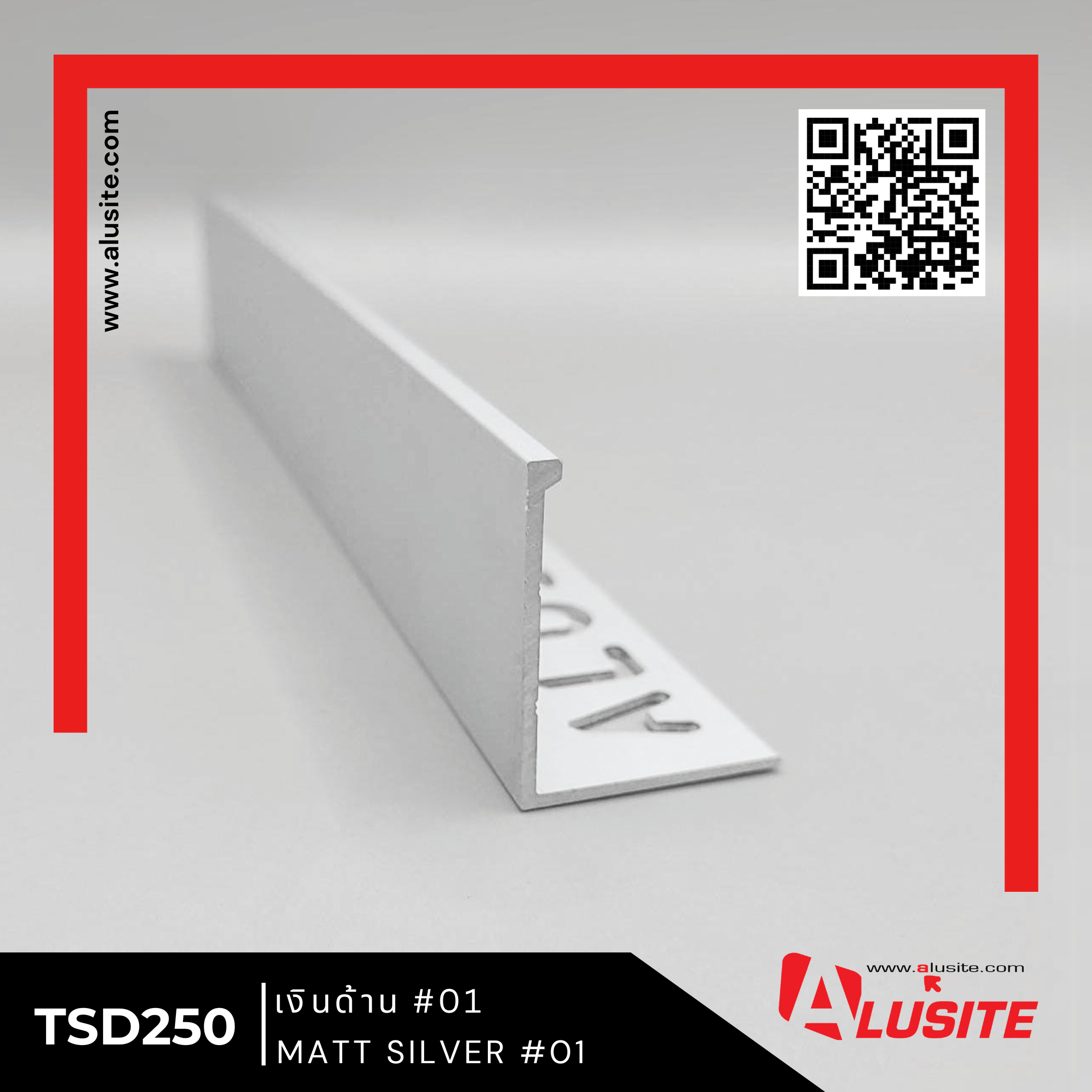01 TSD250 DISPLAY MATT SILVER 01