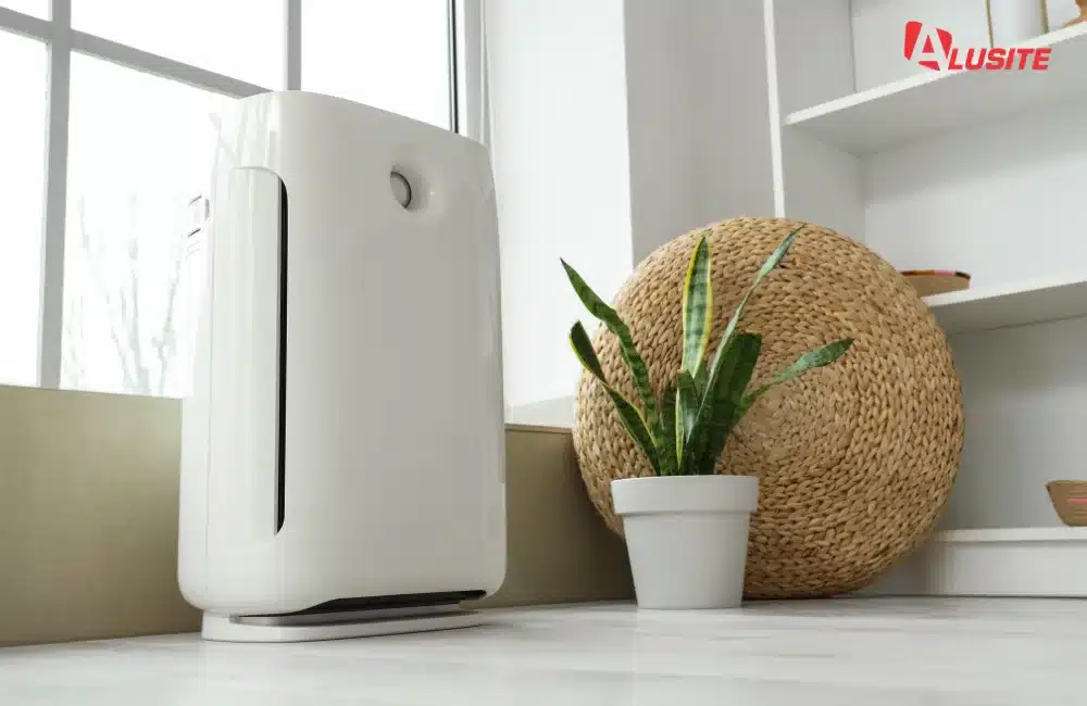 ตกแต่งด้วยต้นไม้ฟอกอากาศ เพิ่มความสดชื่น