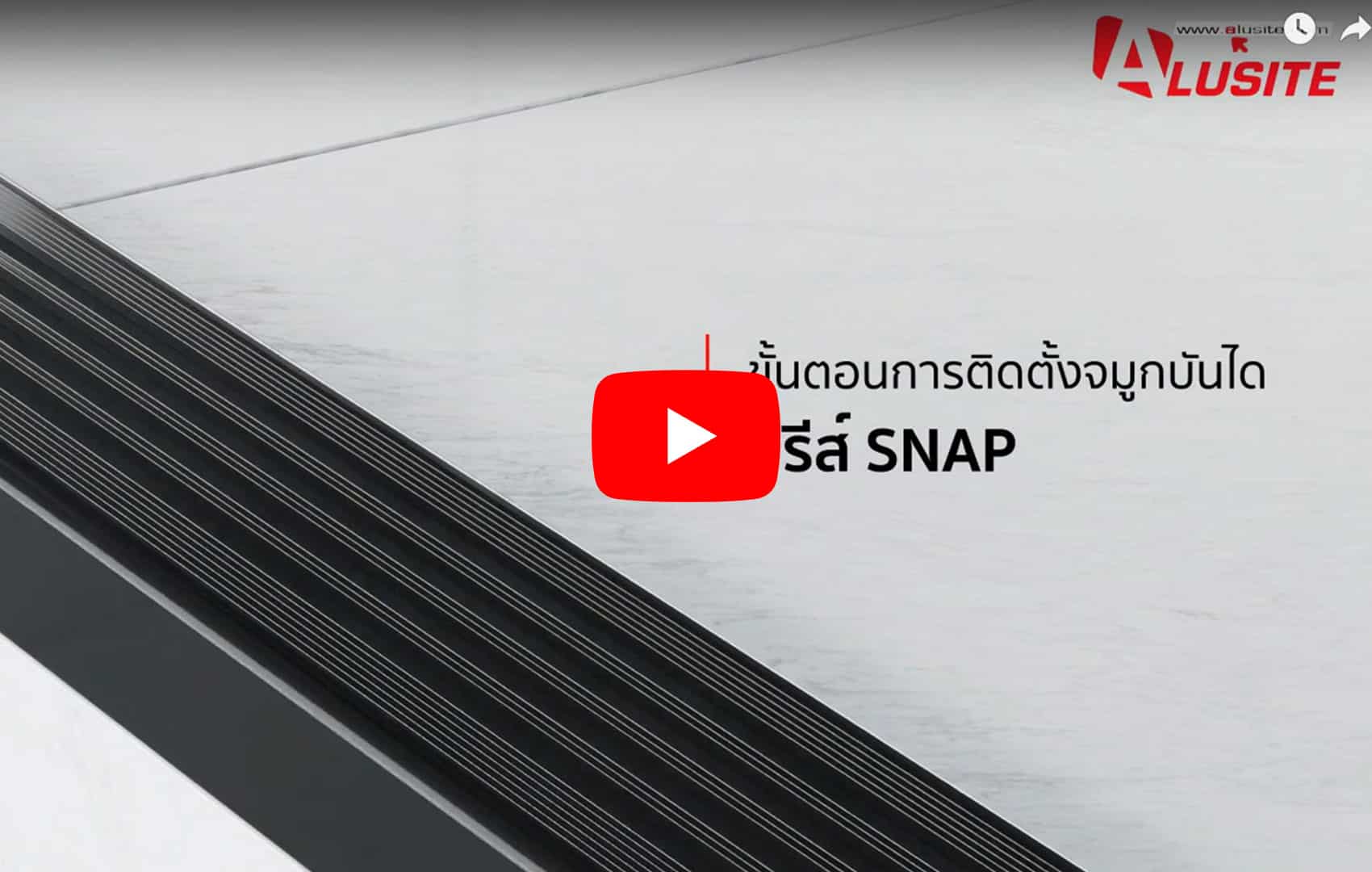 SNAP4020